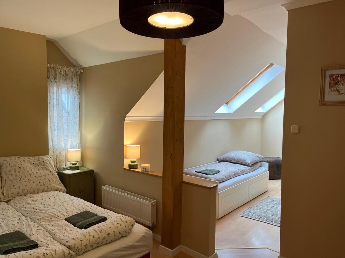 Tulipan Villa Panzio 索尔诺克 外观 照片