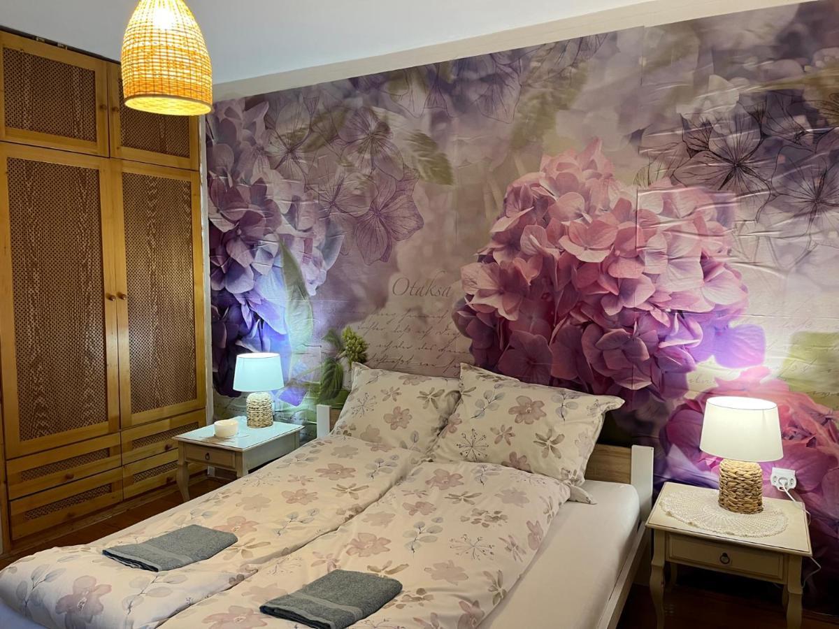 Tulipan Villa Panzio 索尔诺克 外观 照片