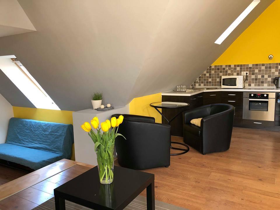 Tulipan Villa Panzio 索尔诺克 外观 照片