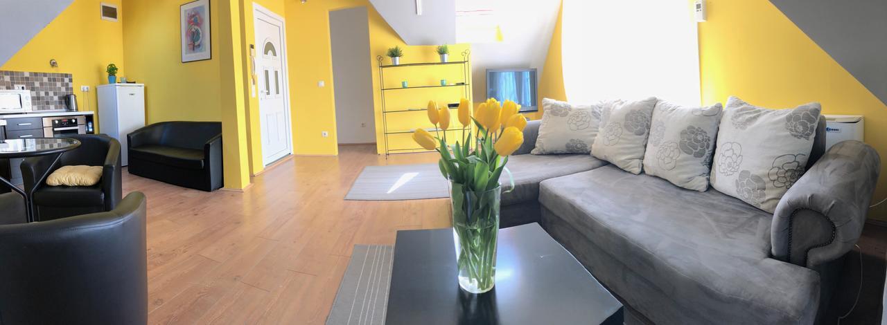 Tulipan Villa Panzio 索尔诺克 外观 照片