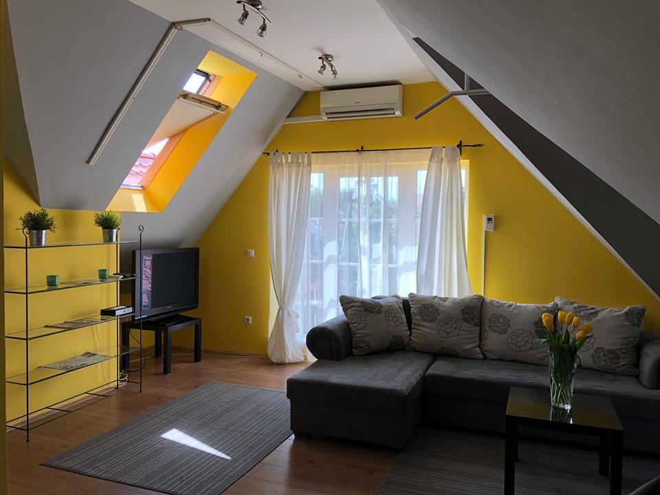 Tulipan Villa Panzio 索尔诺克 外观 照片