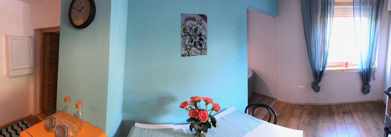 Tulipan Villa Panzio 索尔诺克 外观 照片