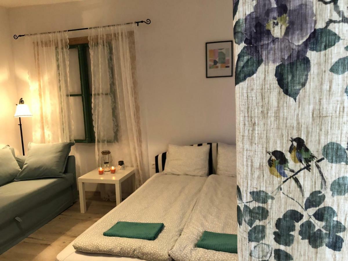 Tulipan Villa Panzio 索尔诺克 外观 照片