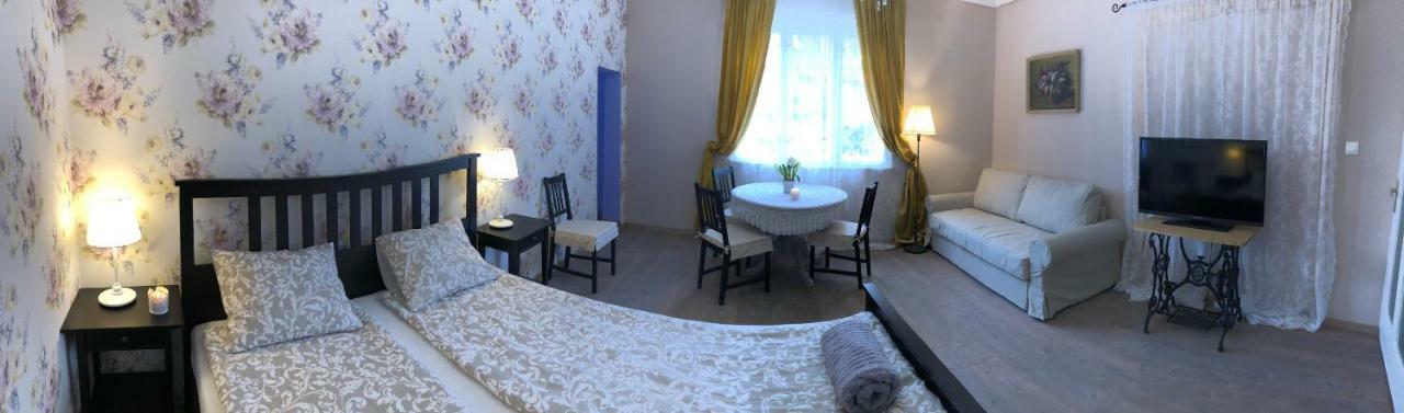 Tulipan Villa Panzio 索尔诺克 外观 照片