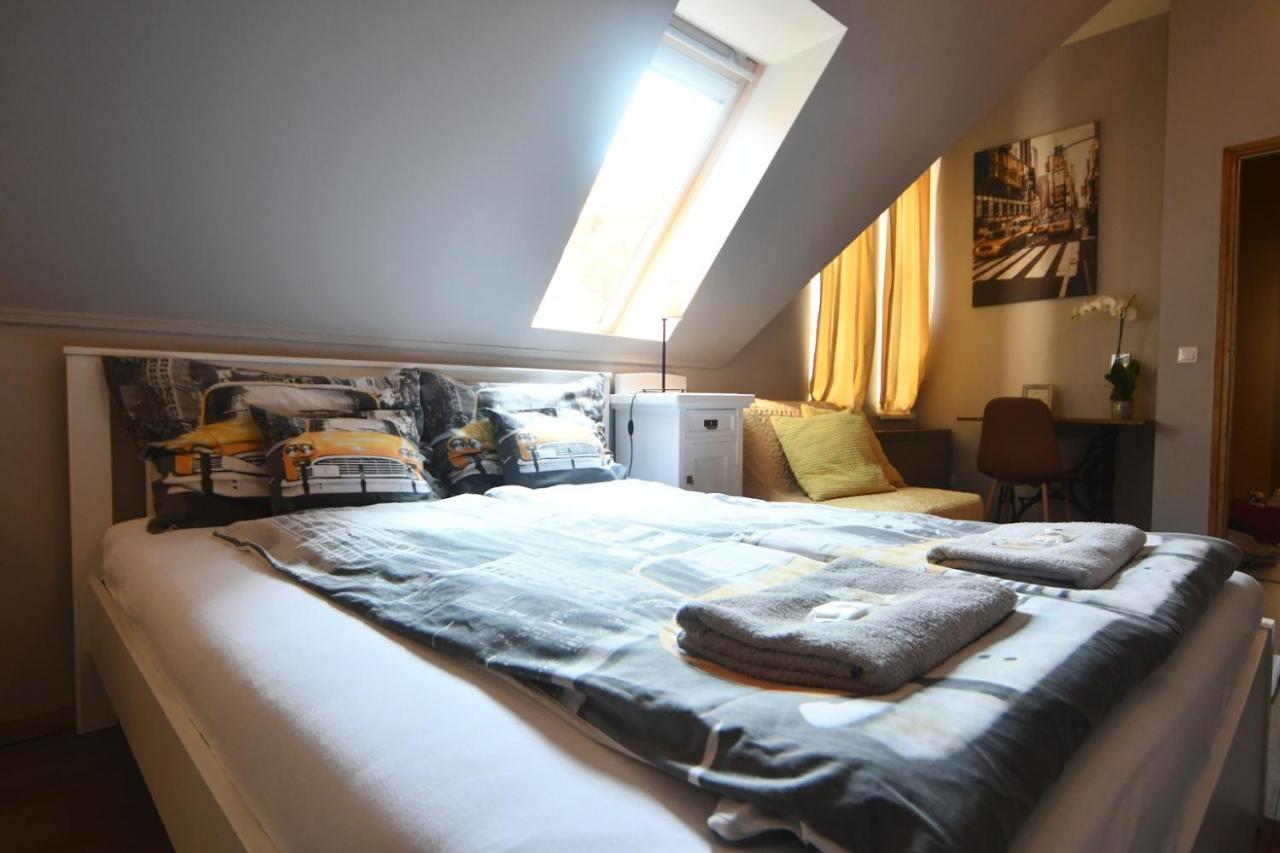 Tulipan Villa Panzio 索尔诺克 外观 照片